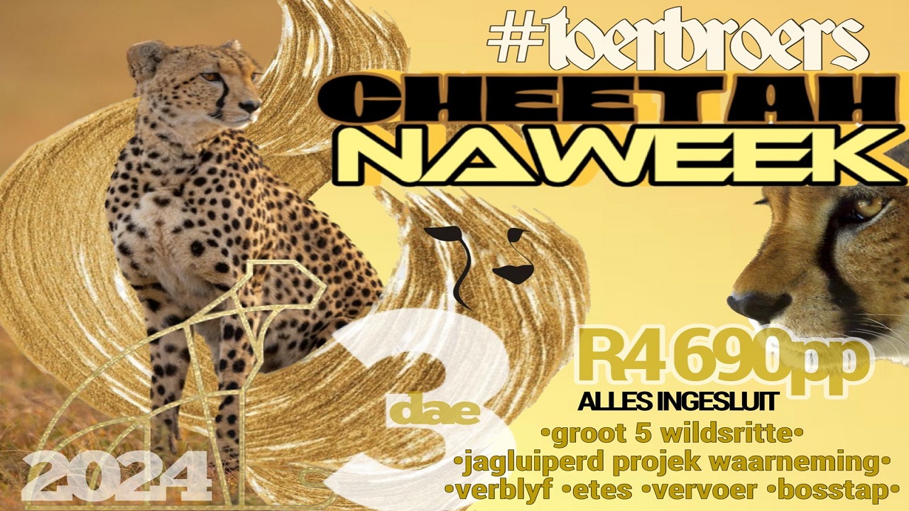 Cheetah Naweek 2024