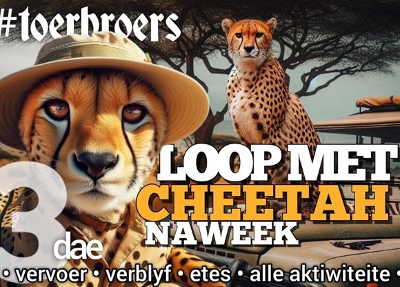 Cheetah Naweek 2026