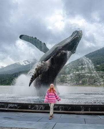 Toerbroers Noorderlike Ligte Alaska Cruise