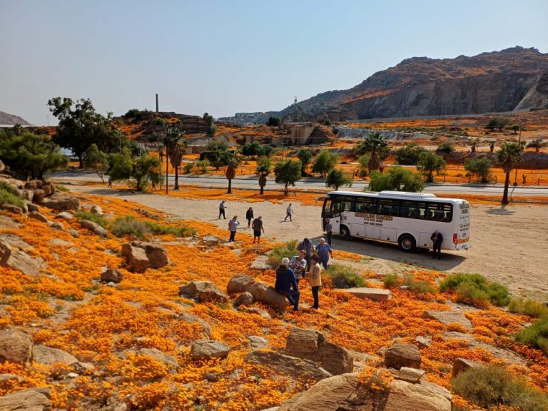 Toergroep by die toerbus langs 'n rotsagtige blomveld vol oranje blomme