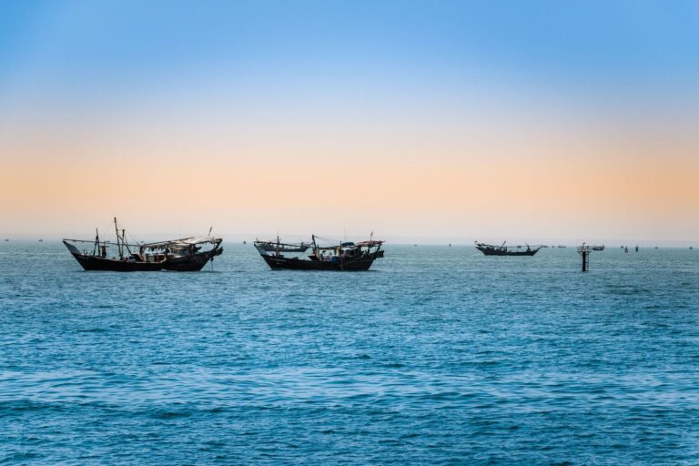 Dream of Zanzibar 2027 – Zanzibar (foto 24)