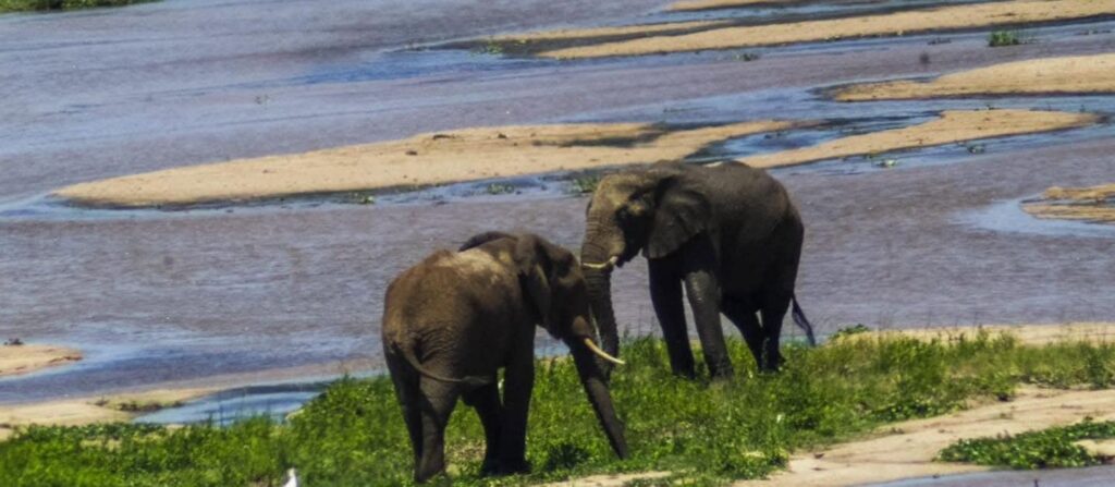 3 Lande Toer 2026, Groter Kruger, Eswatini en Ponta do Ouro