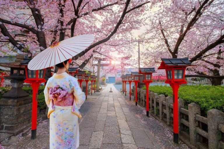 Japan Kersiebloeisels en Suid-Korea 2027 – Tokio tot Busan (foto 1)