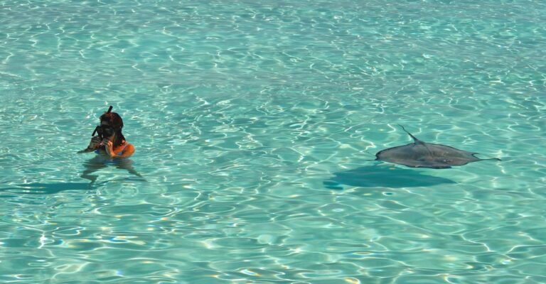 Maldive Flash Sale 2027 – Adaaran Select Meedhupparu (foto 17)