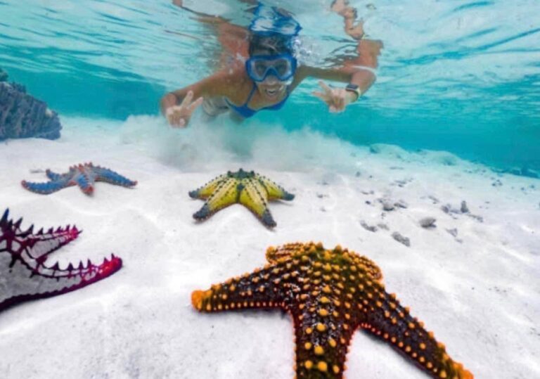 Riu Jambo Zanzibar 2026 – Zanzibar (foto 4)