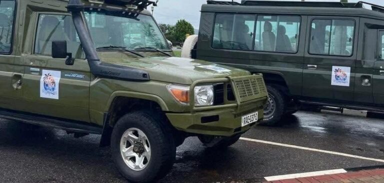 Serengeti Groot Migrasie 2026 – Serengeti, Ngorongoro en Tarangire (foto 3)