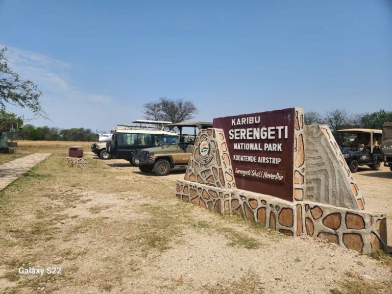Serengeti Groot Migrasie 2026 – Serengeti, Ngorongoro en Tarangire (foto 4)